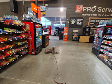 Down-Stay at Home Depot