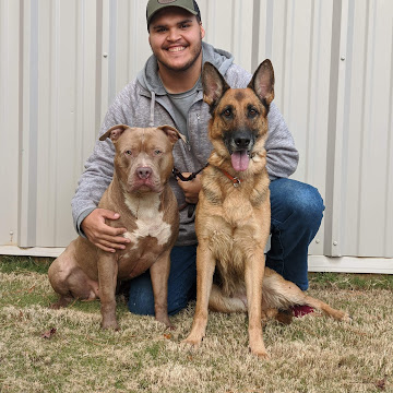 Trainer with Two Dogs
