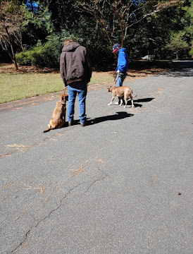Group Leash Class