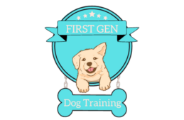 First Gen Dog Training
